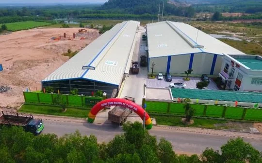 Quý Tiến – Chung tay giữ gìn màu xanh Việt