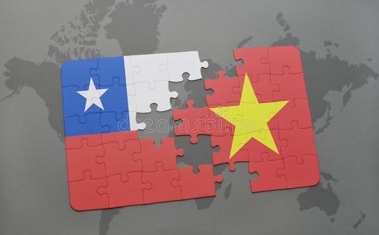 Biểu thuế nhập khẩu ưu đãi đặc biệt của Việt Nam - Chi Lê