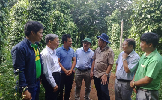 Góp phần giải bài toán phát triển nông nghiệp bền vững ở Tây Nguyên