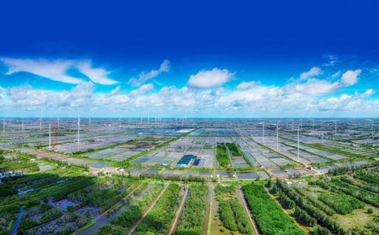 JETP helps transform Viet Nam’s economy towards green, low-carbon, climate-resilient manner