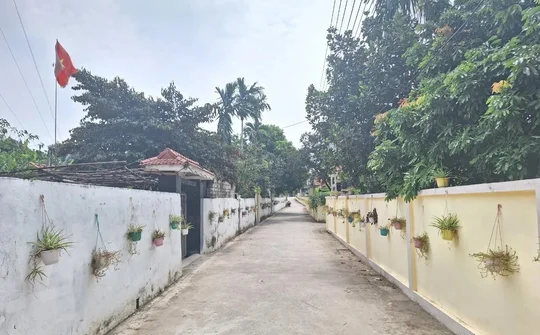 Hà Trung (Thanh Hoá): Đồng lòng hiến đất làm đường giao thông