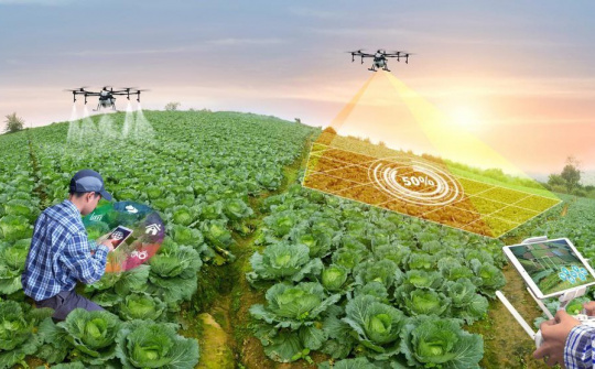 Phát triển nông nghiệp Việt Nam: Vấn đề đặt ra và một số giải pháp
