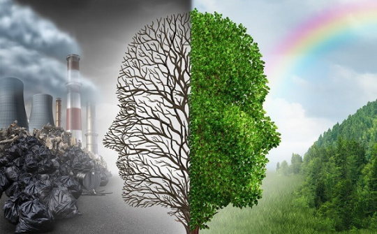 Hoàn thiện chính sách cho lực lượng thực hiện nhiệm vụ ứng phó sự cố môi trường