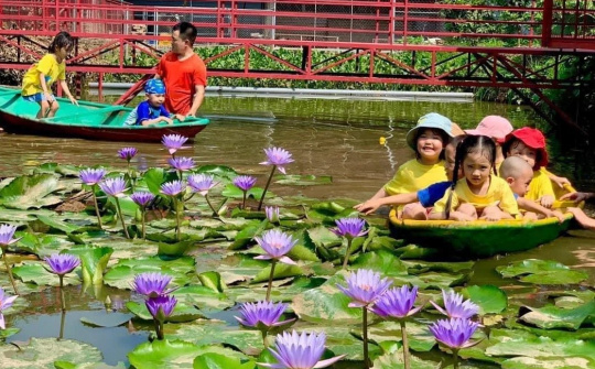 Nông trại sắc màu - Điểm đến chân ái của mầm non tư thục Hà Nội
