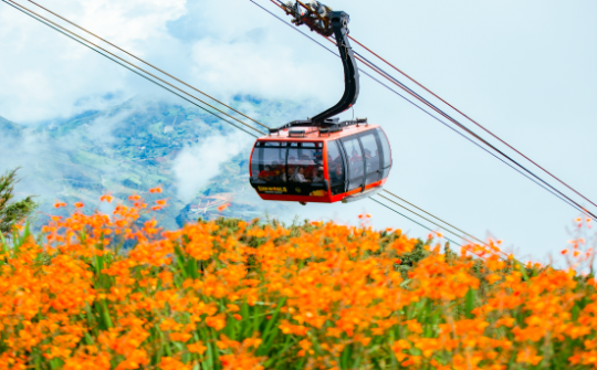 New York Times: “Nếu có thể đi cáp treo đến Đấu trường La Mã, bạn đang ở Việt Nam”