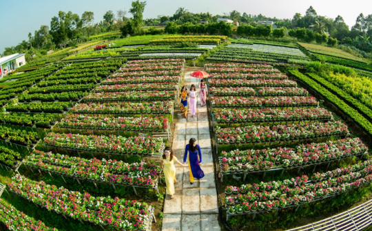 Đồng Tháp tích cực chuyển đổi tư duy từ sản xuất nông nghiệp sang tư duy kinh tế nông nghiệp