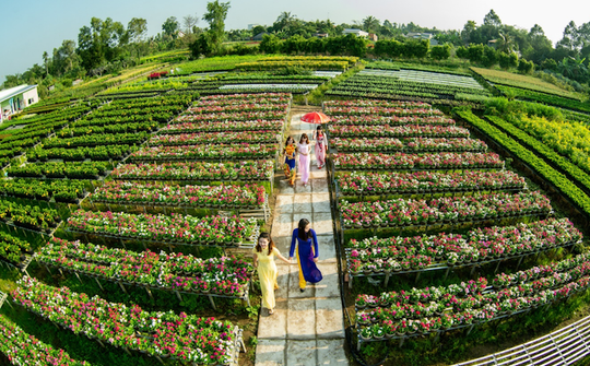 Đồng Tháp tích cực chuyển đổi tư duy từ sản xuất nông nghiệp sang tư duy kinh tế nông nghiệp