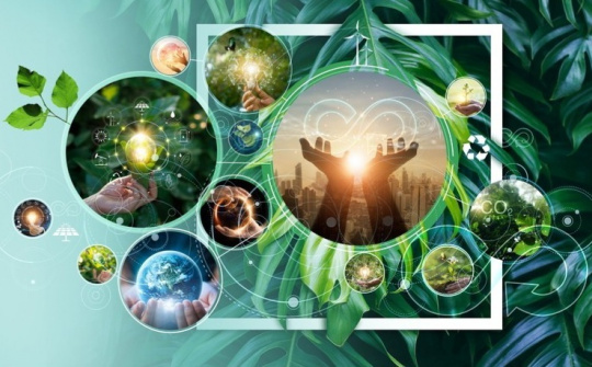 Edu Star Awards – Xây dựng dữ liệu chuyển đổi số trong lĩnh vực tư vấn du học & hợp tác quốc tế về giáo dục