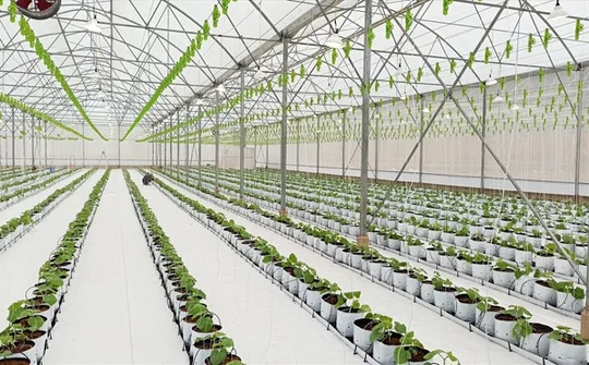 Phát triển nông nghiệp ứng dụng công nghệ cao ở huyện Lạc Thủy, tỉnh Hòa Bình