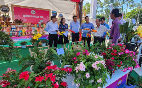 Đồng Tháp: Háo hức chào đón ngày hội Hội quán Đất sen hồng lần thứ I/2023