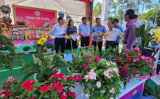 Đồng Tháp: Háo hức chào đón ngày hội Hội quán Đất sen hồng lần thứ I/2023