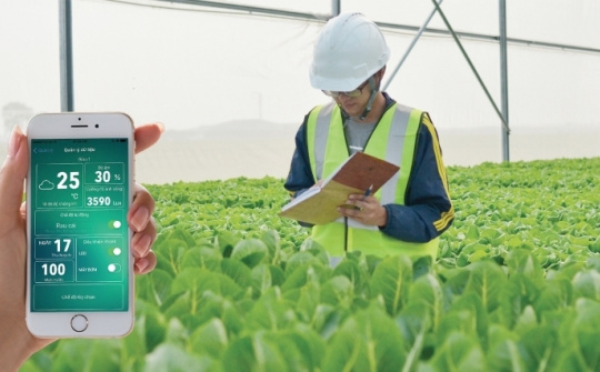 Vĩnh Phúc áp dụng công nghệ cao vào sản xuất nông nghiệp