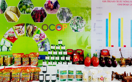 Đồng Nai phát triển du lịch nông thôn từ các sản phẩm OCOP