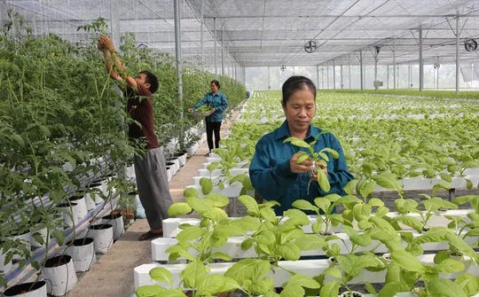 Bổ sung vốn thực hiện chính sách cho vay hỗ trợ tạo việc làm