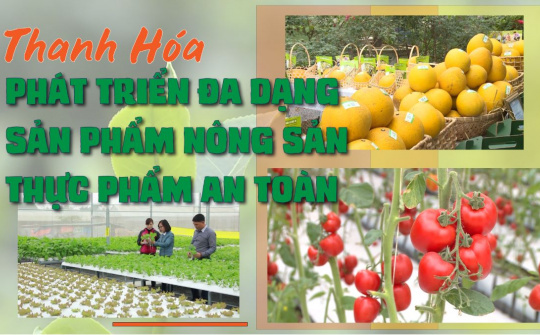 Thanh Hóa hướng đến Hội nghị kết nối cung - cầu và trưng bày giới thiệu sản phẩm nông sản thực phẩm an toàn