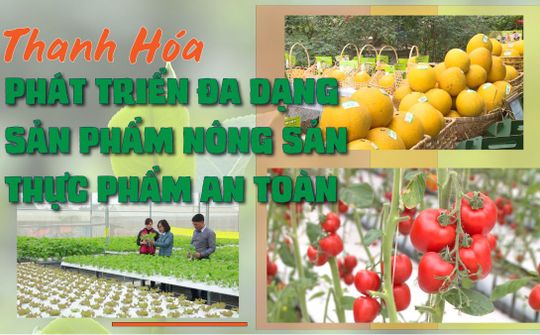 Thanh Hóa hướng đến Hội nghị kết nối cung - cầu và trưng bày giới thiệu sản phẩm nông sản thực phẩm an toàn
