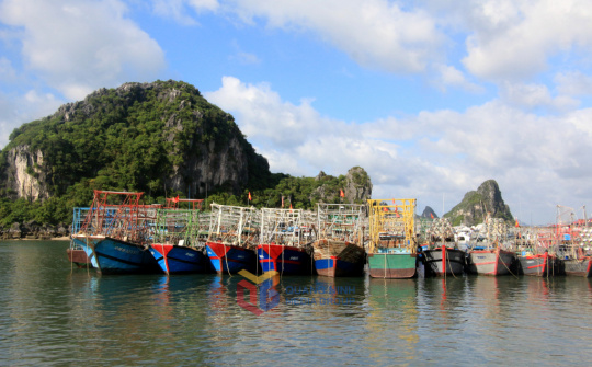 Tập trung thực hiện các giải pháp cấp bách chống khai thác hải sản bất hợp pháp