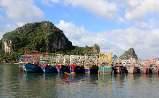 Tập trung thực hiện các giải pháp cấp bách chống khai thác hải sản bất hợp pháp