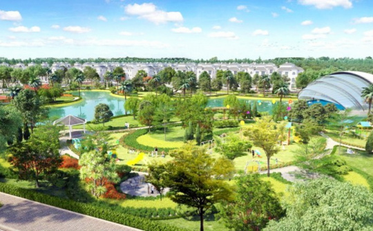 Không hy sinh rừng để phát triển kinh tế - xã hội: Việt Nam lựa chọn lối hài hòa, cân bằng sinh thái 