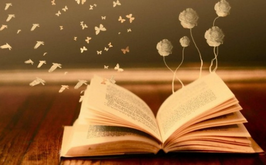 Triển khai Phong trào cả nước thi đua xây dựng xã hội học tập, đẩy mạnh học tập suốt đời