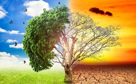 Hợp tác, đoàn kết quốc tế hướng tới giảm thiểu biến đổi khí hậu