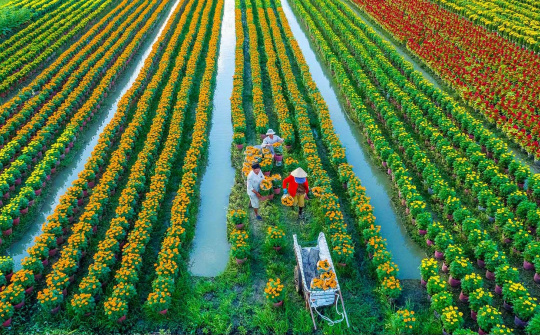 Nền kinh tế Việt Nam đang hướng tới thịnh vượng