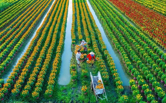 Nền kinh tế Việt Nam đang hướng tới thịnh vượng