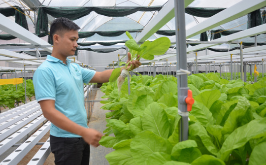 Tuyên Quang: Ứng dụng công nghệ cao trong các hợp tác xã nông nghiệp