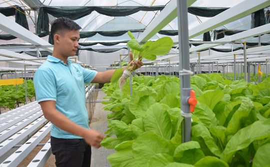Tuyên Quang: Ứng dụng công nghệ cao trong các hợp tác xã nông nghiệp