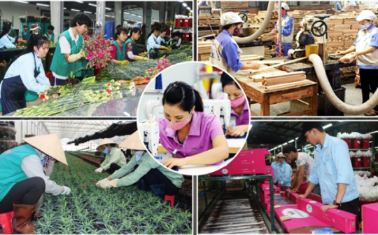 Viet Nam makes great strides in improving living standards: UN Resident Coordinator