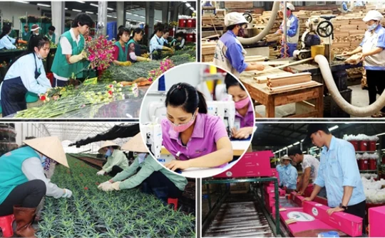 Viet Nam makes great strides in improving living standards: UN Resident Coordinator