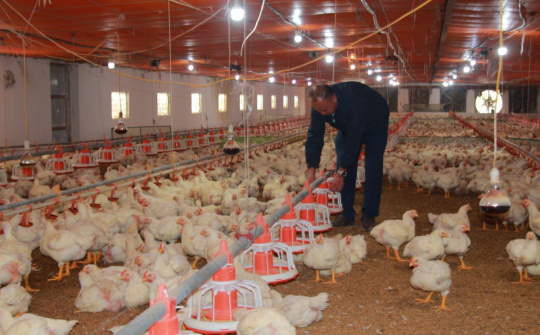 Nam Định: Đẩy mạnh nghiên cứu khoa học theo hướng ứng dụng vào sản xuất