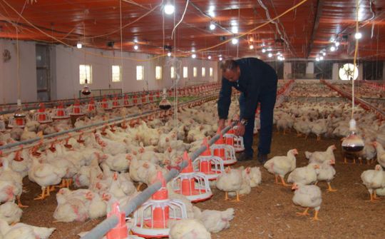 Nam Định: Đẩy mạnh nghiên cứu khoa học theo hướng ứng dụng vào sản xuất