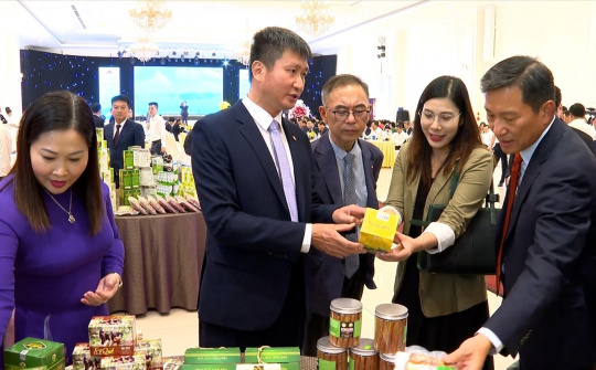 Yên Bái - Dấu ấn phát triển đột phá từ sản phẩm OCOP