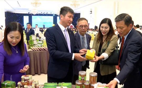 Yên Bái - Dấu ấn phát triển đột phá từ sản phẩm OCOP