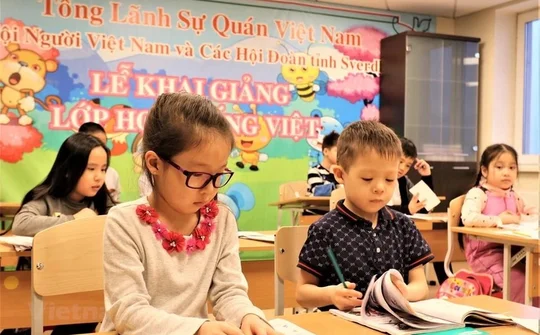 Nhiệm vụ, cơ cấu tổ chức của Ủy ban Nhà nước về người Việt Nam ở nước ngoài