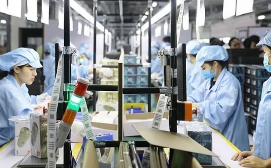 ADB Country Director points to three main growth drivers of Vietnam's economy in 2024