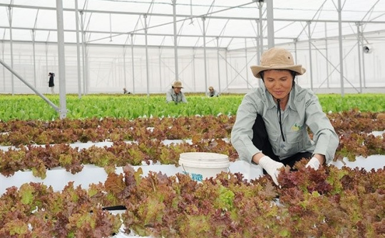 Hà Nam đẩy mạnh chuyển đổi số trong các hợp tác xã