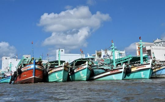 Tăng cường kiểm tra, hướng dẫn, đôn đốc các địa phương ven biển việc thực hiện các quy định, khuyến nghị của EC về chống khai thác IUU