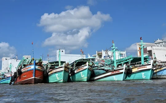 Tăng cường kiểm tra, hướng dẫn, đôn đốc các địa phương ven biển việc thực hiện các quy định, khuyến nghị của EC về chống khai thác IUU