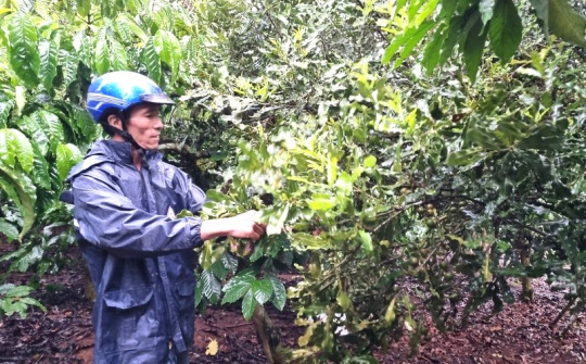 Những nông dân thoát nghèo nhờ vốn hỗ trợ sinh kế