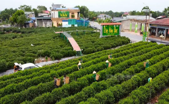 Thái Nguyên đẩy mạnh phát triển du lịch gắn với phát triển các sản phẩm nông sản, OCOP và làng nghề