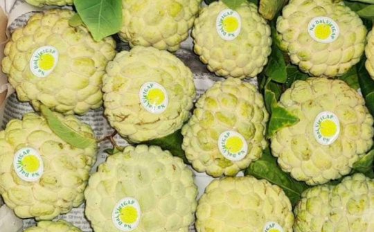 Đông Triều (Quảng Ninh): Tích cực đẩy mạnh chuyển đổi số nông nghiệp nông thôn