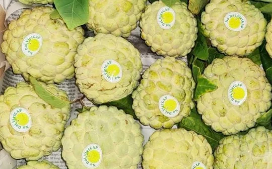 Đông Triều (Quảng Ninh): Tích cực đẩy mạnh chuyển đổi số nông nghiệp nông thôn