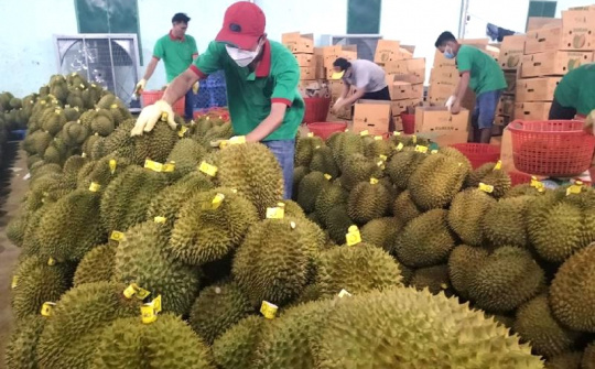 Giải pháp hỗ trợ tiêu thụ nông sản Vùng ĐBDTTS và miền núi Khánh Hòa