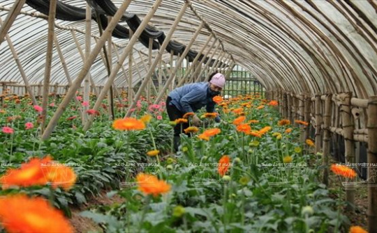 Thanh Hóa: Nhân rộng các mô hình khuyến nông hiệu quả