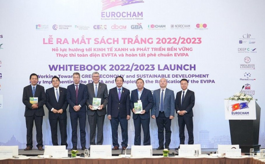 Nỗ lực hướng tới kinh tế xanh và phát triển bền vững, thực thi toàn diện EVFTA và hoàn tất phê chuẩn EVIPA