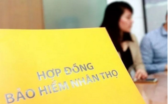 Bộ Tài chính tăng cường công tác thanh tra, giám sát hoạt động trên thị trường bảo hiểm