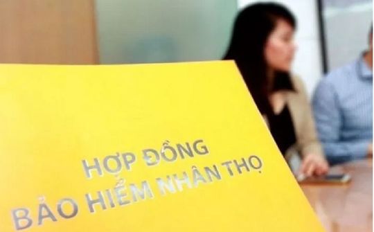 Bộ Tài chính tăng cường công tác thanh tra, giám sát hoạt động trên thị trường bảo hiểm
