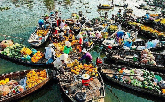 Thúc đẩy đồng bằng sông Cửu Long phát triển nhanh và bền vững